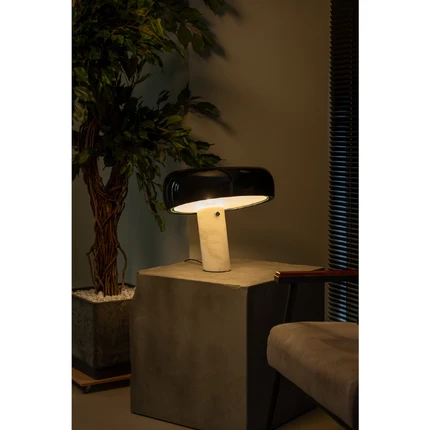 Декоративная настольная лампа Divinare DENTON 1083/06 TL-1